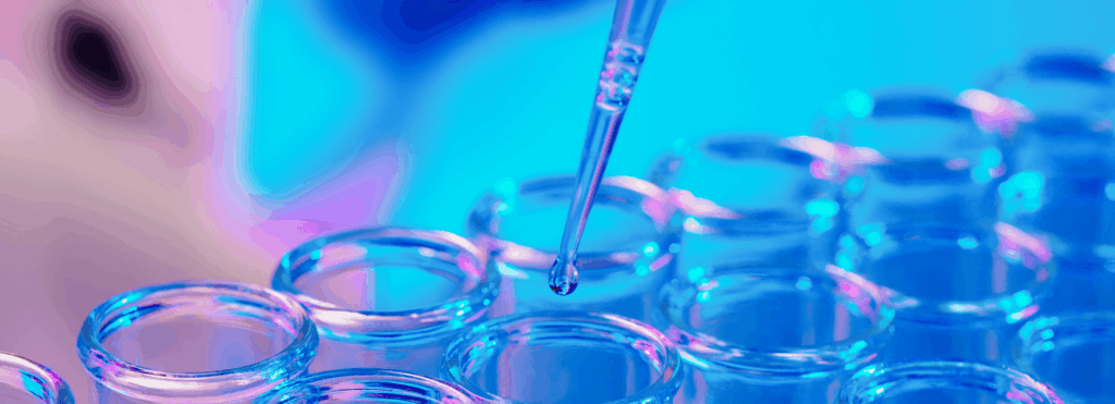 Excelya banner image